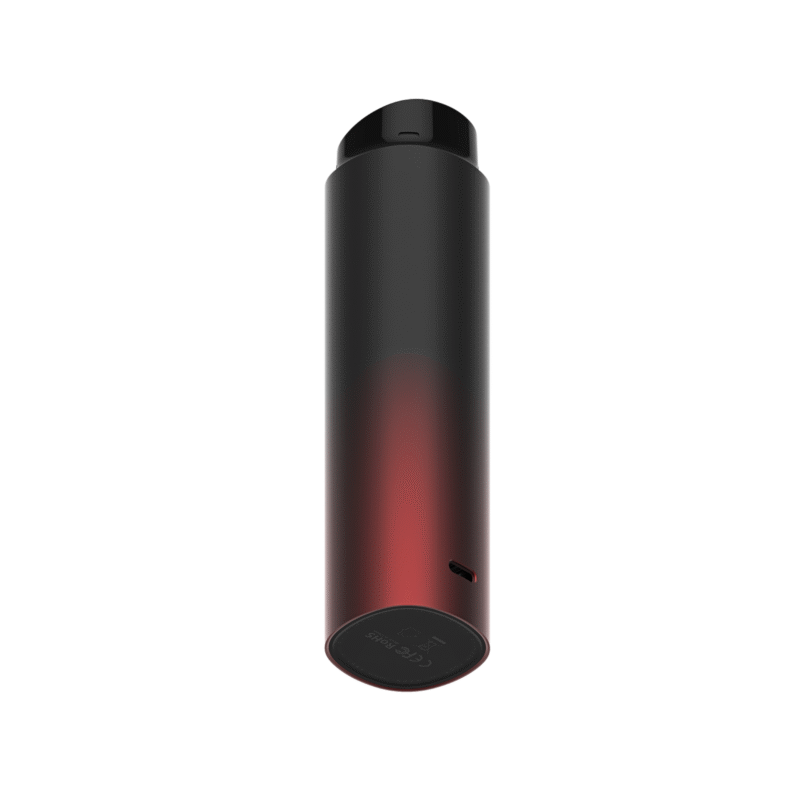 2 in 1 rf beauty device